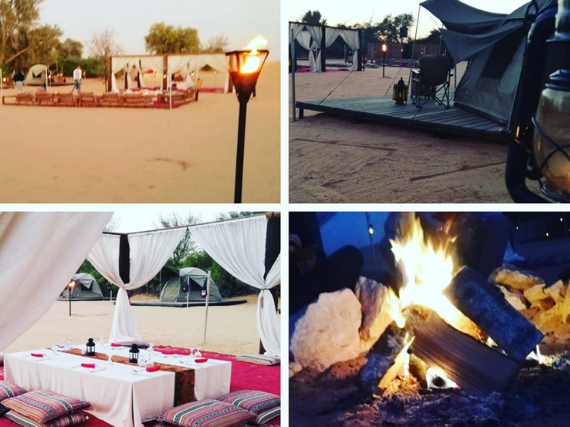 Dubai Desert Conservation Reserve