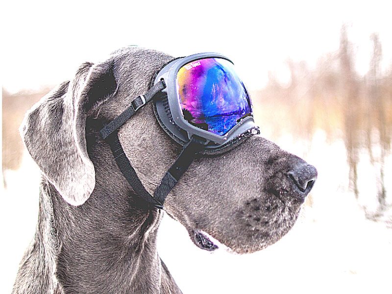 photodestinations-bluffantesouskier1