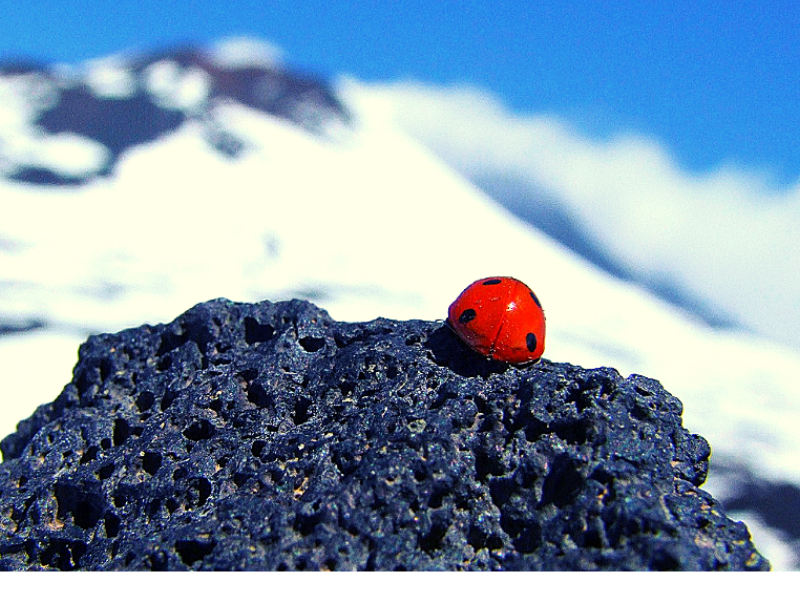 photodestinations bluffantesouskier2