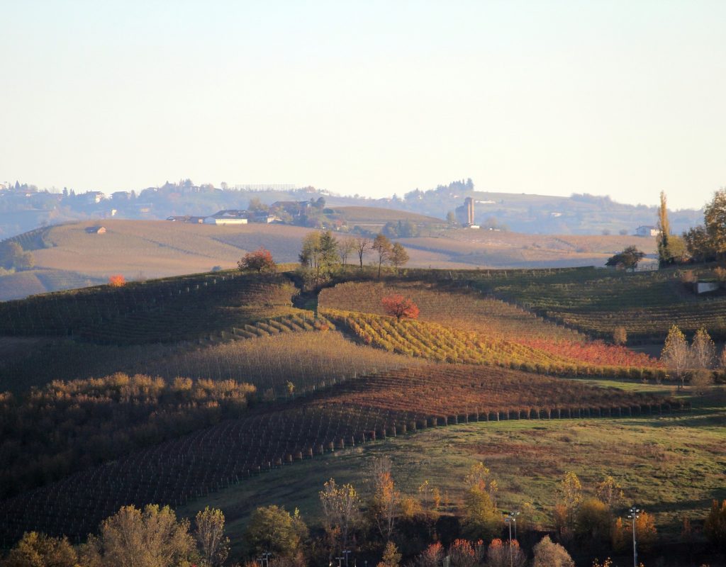 piemont 1