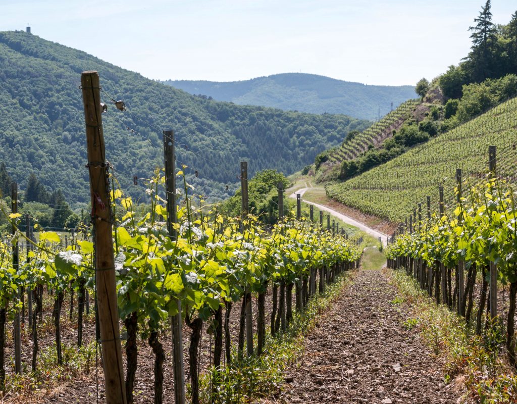 piemont4